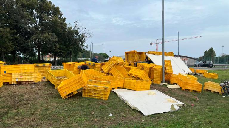 Riccione, si ribalta il Tir carico di patate: scatta la raccolta per riempire le borse VIDEO GALLERY Riccione, si ribalta il Tir carico di patate: scatta la raccolta per riempire le borse VIDEO GALLERY