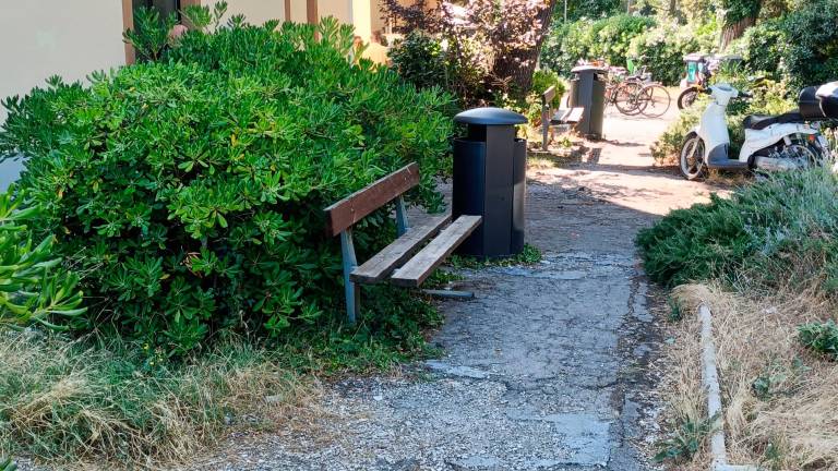 La situazione nel vialetto della stazione La situazione nel vialetto della stazione