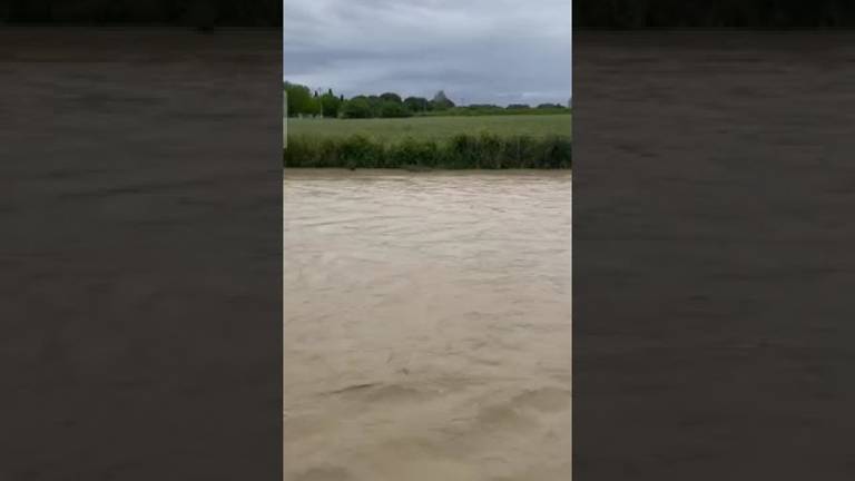 Maltempo in Romagna, sott'acqua oltre 5mila aziende agricole VIDEO Maltempo in Romagna, sott'acqua oltre 5mila aziende agricole VIDEO