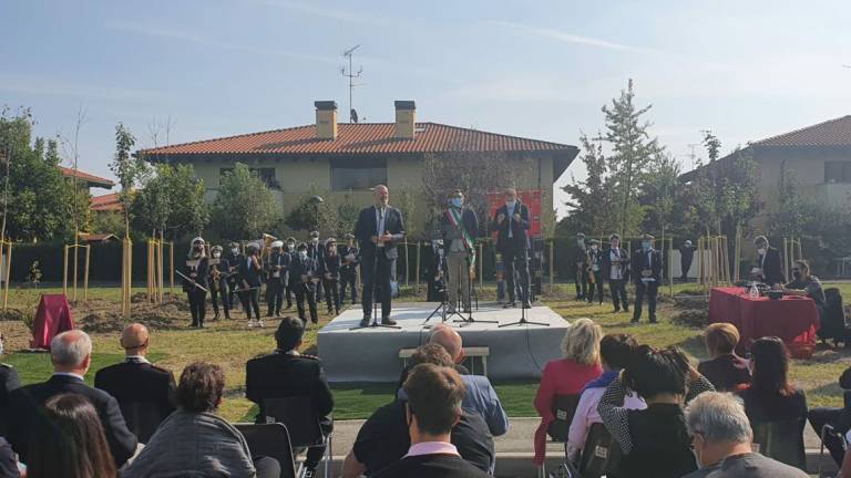 Medicina, un parco di 29 alberi, uno per ogni vittima del Covid Medicina, un parco di 29 alberi, uno per ogni vittima del Covid