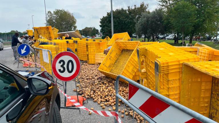 Riccione, si ribalta il Tir carico di patate: scatta la raccolta per riempire le borse VIDEO GALLERY Riccione, si ribalta il Tir carico di patate: scatta la raccolta per riempire le borse VIDEO GALLERY