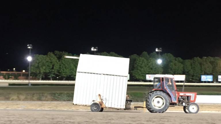 Un’altra cavalla morta in pista all’Ippodromo del Savio Un’altra cavalla morta in pista all’Ippodromo del Savio