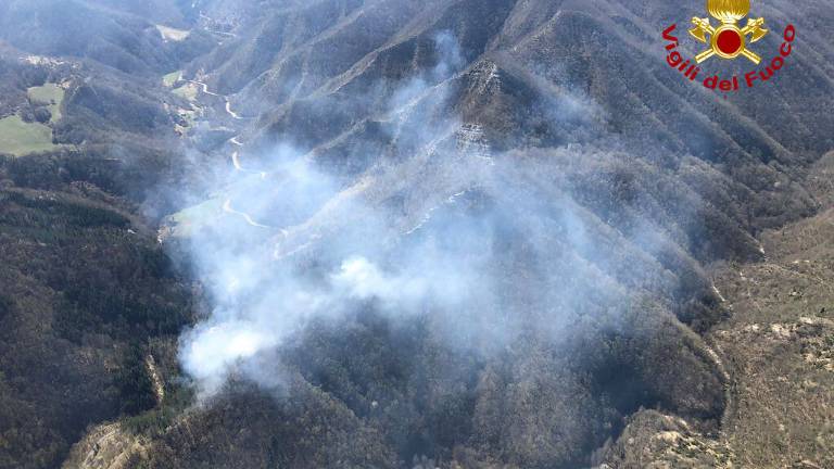 Portico, incendio nel bosco, 11 squadre vigili del fuoco al lavoro Portico, incendio nel bosco, 11 squadre vigili del fuoco al lavoro