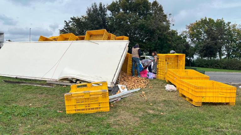 Riccione, si ribalta il Tir carico di patate: scatta la raccolta per riempire le borse VIDEO GALLERY Riccione, si ribalta il Tir carico di patate: scatta la raccolta per riempire le borse VIDEO GALLERY