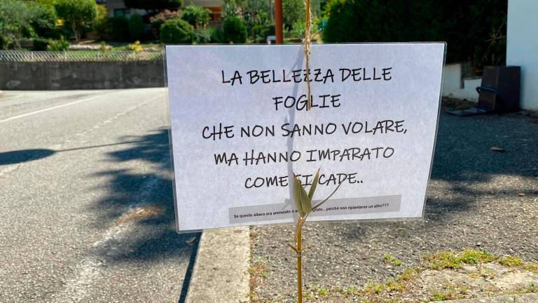Le poesie sono comparse lungo tutta la via Mascagni Le poesie sono comparse lungo tutta la via Mascagni