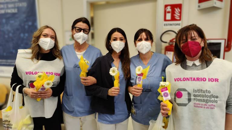 Cesena, 8 marzo: una gerbera dai volontari Ior al Bufalini Cesena, 8 marzo: una gerbera dai volontari Ior al Bufalini