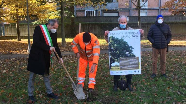 Forlì, nuovo boschetto a Ca' Ossi Forlì, nuovo boschetto a Ca' Ossi