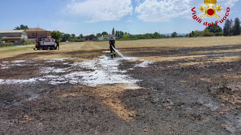 Bertinoro, 500 metri quadri a fuoco in un campo: i pompieri domano l'incendio Bertinoro, 500 metri quadri a fuoco in un campo: i pompieri domano l'incendio