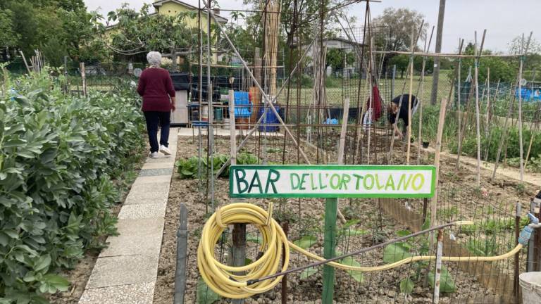 Cesena, Ortando in città: gli iscritti sono già 180 Cesena, Ortando in città: gli iscritti sono già 180