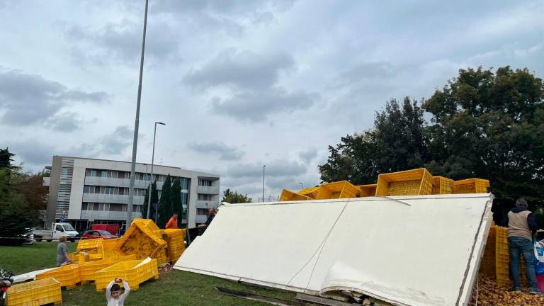 Riccione, si ribalta il Tir carico di patate: scatta la raccolta per riempire le borse VIDEO GALLERY Riccione, si ribalta il Tir carico di patate: scatta la raccolta per riempire le borse VIDEO GALLERY
