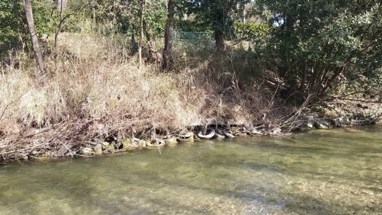 Difesa del suolo: il fiume Montone ora è più sicuro Difesa del suolo: il fiume Montone ora è più sicuro