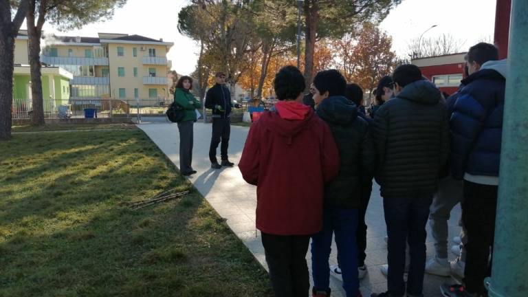 Bertinoro celebra la giornata degli alberi Bertinoro celebra la giornata degli alberi