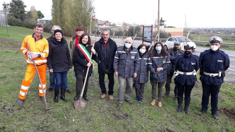 Coriano, giornata degli alberi: piantati undici pioppi cipressini Coriano, giornata degli alberi: piantati undici pioppi cipressini
