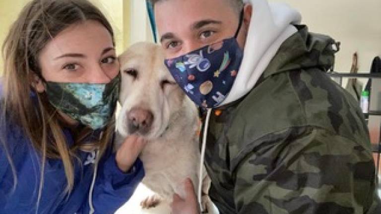 Inaugura Parrucchieri canini, una spa per gli amici a 4 zampe Inaugura Parrucchieri canini, una spa per gli amici a 4 zampe