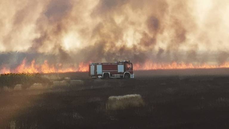 Due vasti incendi nei campi mettono Ravenna in allarme Due vasti incendi nei campi mettono Ravenna in allarme