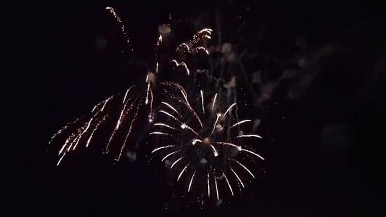 Cervia, lo spettacolo dei fuochi di San Lorenzo VIDEO Cervia, lo spettacolo dei fuochi di San Lorenzo VIDEO