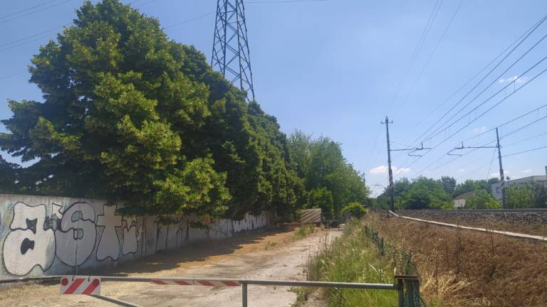 Faenza, nasce un maxi Centro del riuso Faenza, nasce un maxi Centro del riuso