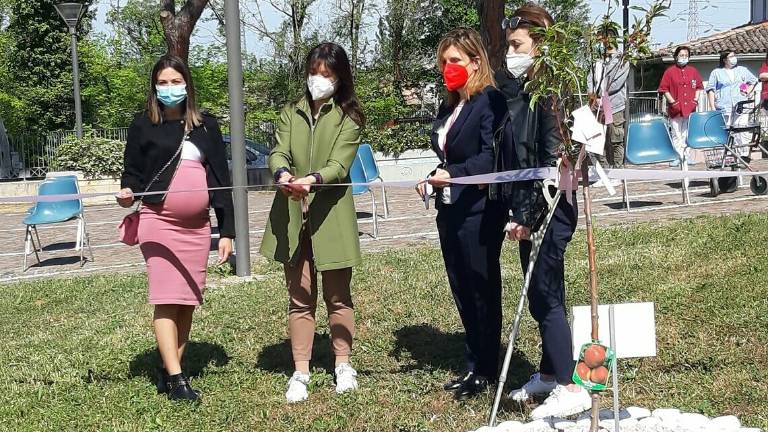 Riccione. Casa Pullè, un pesco in ricordo dell'operatrice Sabrina Riccione. Casa Pullè, un pesco in ricordo dell'operatrice Sabrina