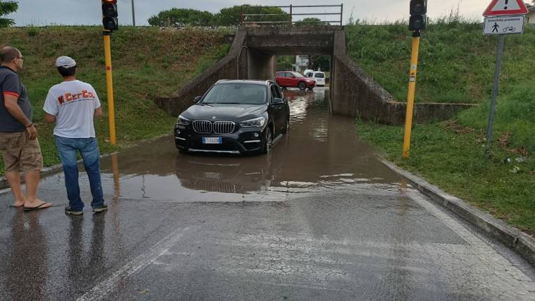 Violento nubifragio: grandine, strade allagate e alberi caduti nel Cesenate VIDEO Violento nubifragio: grandine, strade allagate e alberi caduti nel Cesenate VIDEO