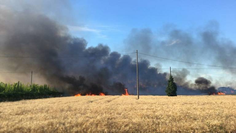 Vasto incendio a Lugo, in fiamme cinque ettari di campi pronti per il raccolto Vasto incendio a Lugo, in fiamme cinque ettari di campi pronti per il raccolto