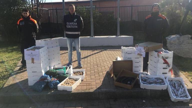 Cervia, hanno un contratto agricolo, ma fanno i marinai Cervia, hanno un contratto agricolo, ma fanno i marinai