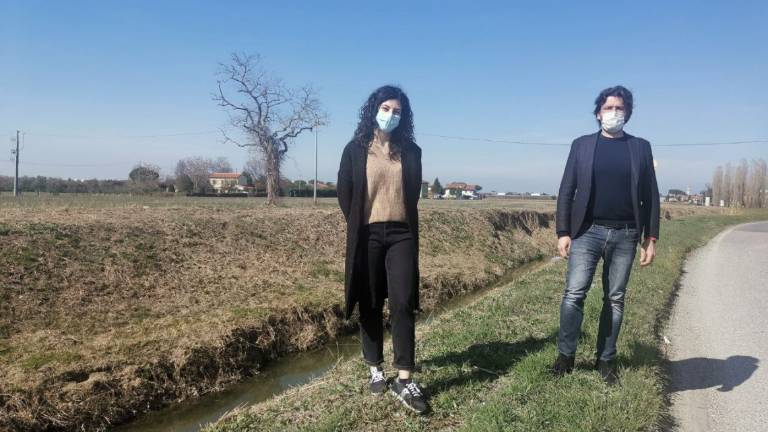 A Savignano nasce l'ufficio del verde pubblico A Savignano nasce l'ufficio del verde pubblico