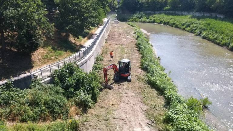 Forlì, partiti i lavori di pulizia nel fiume Montone Forlì, partiti i lavori di pulizia nel fiume Montone