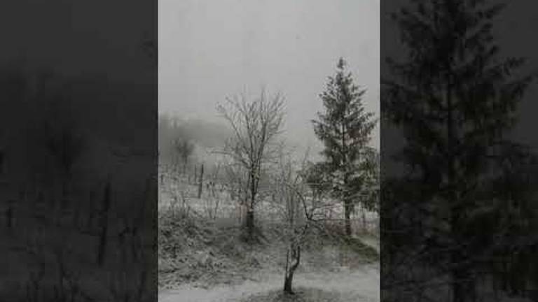 Grandine e danni a Cesena, neve in Valle Savio - VIDEO Grandine e danni a Cesena, neve in Valle Savio - VIDEO