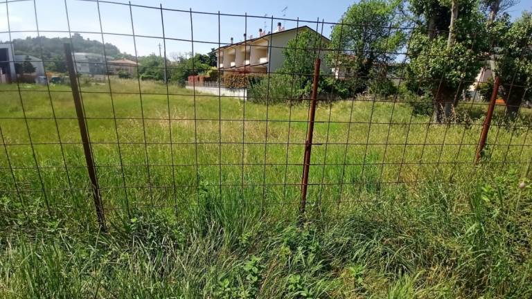 Cesena, la protesta: Terreno abbandonato a se stesso, va sistemato Cesena, la protesta: Terreno abbandonato a se stesso, va sistemato