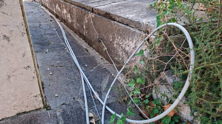 Situazione di incuria e fili pericolosi tra le lapidi al cimitero di Forlì (foto Fabio Blaco) Situazione di incuria e fili pericolosi tra le lapidi al cimitero di Forlì (foto Fabio Blaco)