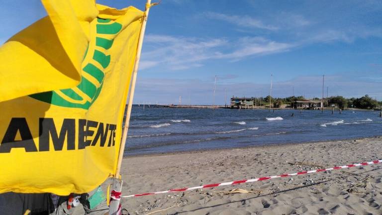 Ravenna, gli ambientalisti sfidano in un incontro i candidati sindaco Ravenna, gli ambientalisti sfidano in un incontro i candidati sindaco