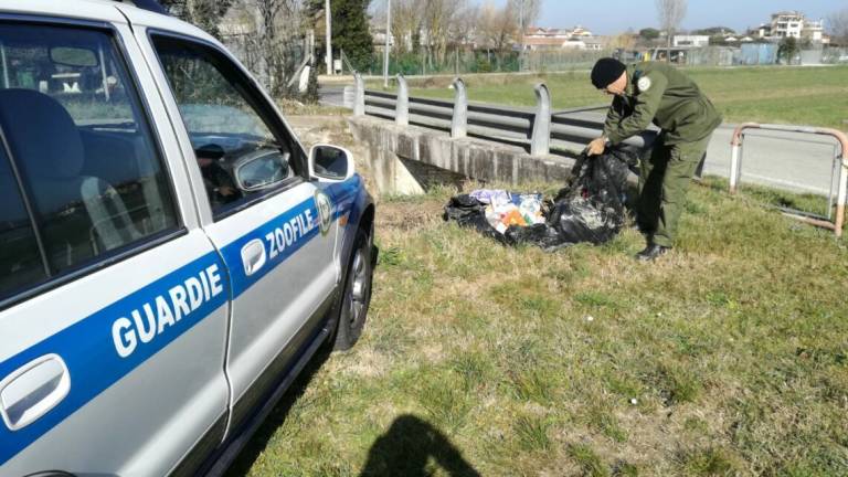 Bellaria, multati sette furbetti dei rifiuti Bellaria, multati sette furbetti dei rifiuti