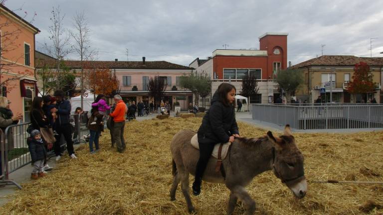 La fiera della canapa torna a Gambettola l'ultimo weekend del mese La fiera della canapa torna a Gambettola l'ultimo weekend del mese