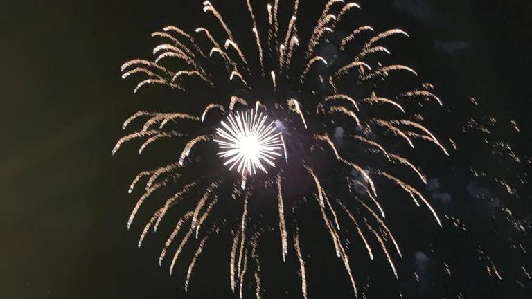 Forlì, niente petardi e botti a Capodanno Forlì, niente petardi e botti a Capodanno