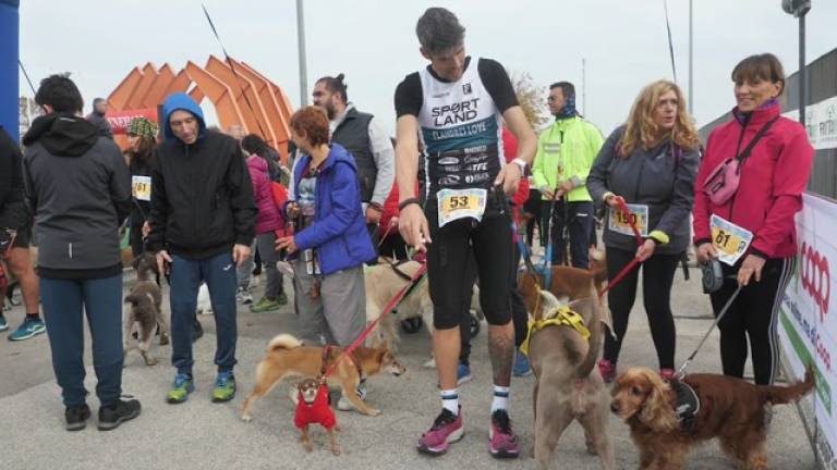 Ravenna, la gioiosa corsa con i cani nel sabato della Maratona VIDEO Ravenna, la gioiosa corsa con i cani nel sabato della Maratona VIDEO