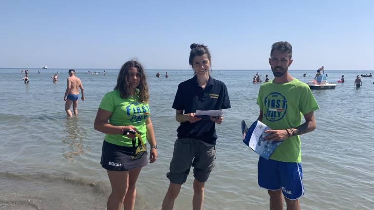 Cervia, ecco le sentinelle del mare che monitorano la biodiversità Cervia, ecco le sentinelle del mare che monitorano la biodiversità
