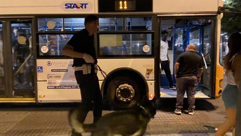 Riccione, c'è il cane antidroga sull'autobus: gettati 15 involucri in tutta fretta Riccione, c'è il cane antidroga sull'autobus: gettati 15 involucri in tutta fretta