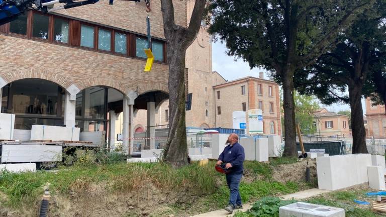 Cesena, cantiere tre piazze: avvio della posa delle aiuole e delle prime sedute di fronte alla Biblioteca Cesena, cantiere tre piazze: avvio della posa delle aiuole e delle prime sedute di fronte alla Biblioteca