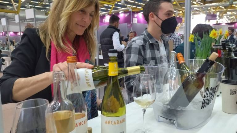 Slow Wine Fair, le anteprime romagnole alla fiera del vino buono, pulito e giusto Slow Wine Fair, le anteprime romagnole alla fiera del vino buono, pulito e giusto
