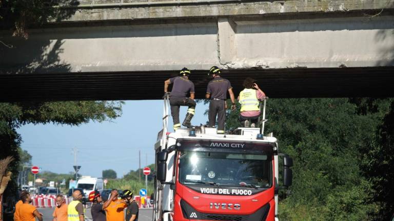 Ravenna. Camion gru urta il Ponte sulla Classicana, pioggia di calcinacci: via Destra Canale Molinetto riaperta al traffico Ravenna. Camion gru urta il Ponte sulla Classicana, pioggia di calcinacci: via Destra Canale Molinetto riaperta al traffico