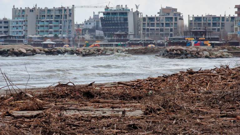 Rimini, le mareggiate portano tonnellate di legname sulla spiaggia di Rivabella VIDEO GALLERY Rimini, le mareggiate portano tonnellate di legname sulla spiaggia di Rivabella VIDEO GALLERY
