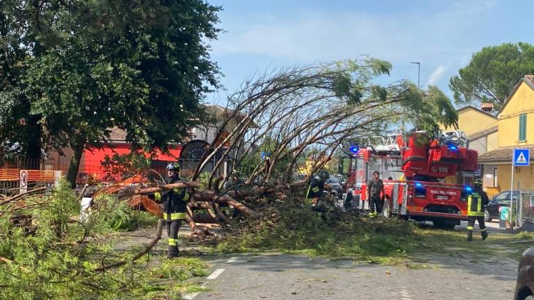 Ravenna. La tromba d'aria ha abbattuto numerosi pali della luce: diverse zone senza corrente. Trasferiti i bimbi del nido distrutto dall'albero Ravenna. La tromba d'aria ha abbattuto numerosi pali della luce: diverse zone senza corrente. Trasferiti i bimbi del nido distrutto dall'albero