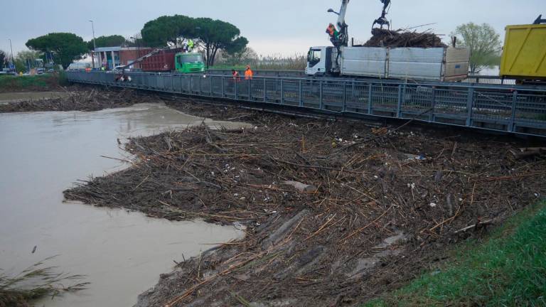Il ponte di Mezzano intasato dalla legna (Foto Massimo Fiorentini) Il ponte di Mezzano intasato dalla legna (Foto Massimo Fiorentini)