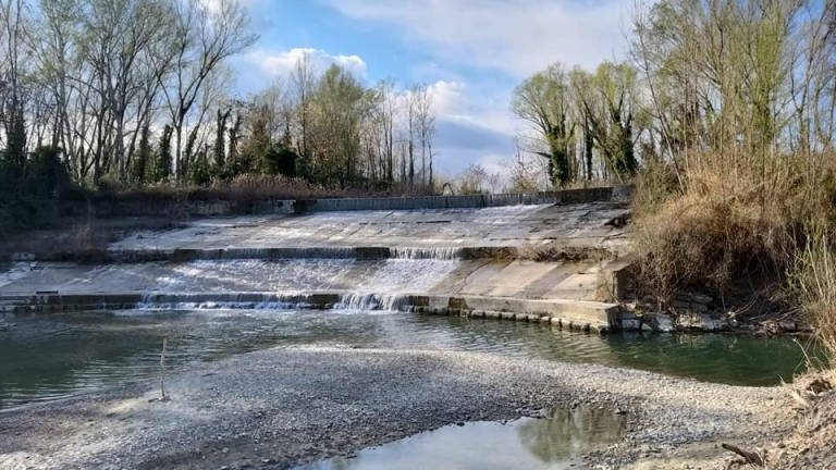 Forlì, lavori sugli argini dei fiumi Ronco e Bidente Forlì, lavori sugli argini dei fiumi Ronco e Bidente