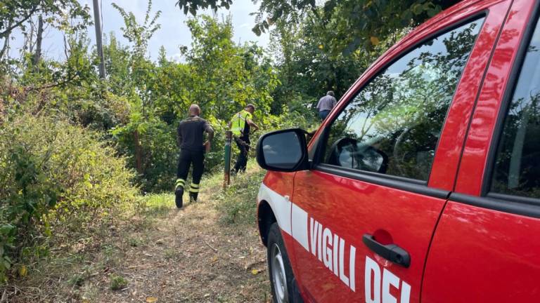 Cesena: ritrovato all'apparenza in buona salute il 68enne che era scomparso da mercoledì scorso Cesena: ritrovato all'apparenza in buona salute il 68enne che era scomparso da mercoledì scorso