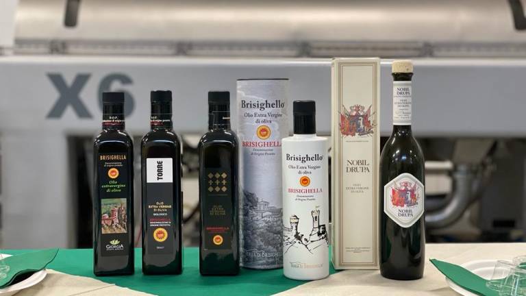 Brisighella, l'olio Dop compie 25 anni Brisighella, l'olio Dop compie 25 anni