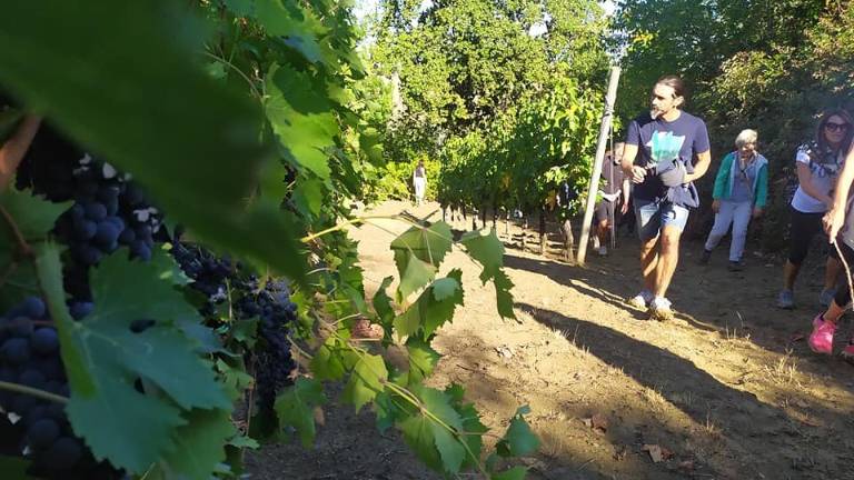 Un successo la camminata all'alba di Coriano Un successo la camminata all'alba di Coriano