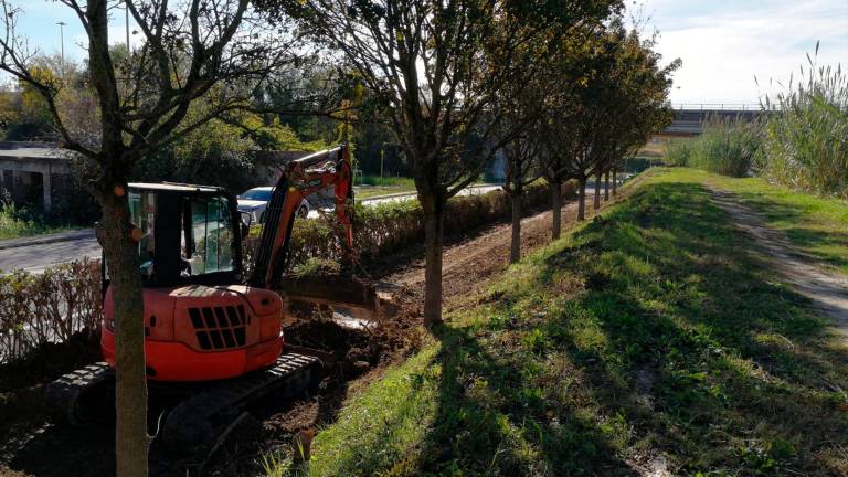 Cesena, lavori di ripristino sulla ciclabile del savio e in di via Machiavelli - Gallery Cesena, lavori di ripristino sulla ciclabile del savio e in di via Machiavelli - Gallery