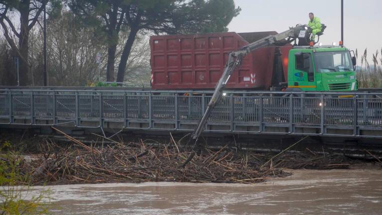 Ravenna, la paura è passata: al lavoro per liberare dal legname il ponte sul Lamone a Mezzano - VIDEO GALLERY Ravenna, la paura è passata: al lavoro per liberare dal legname il ponte sul Lamone a Mezzano - VIDEO GALLERY