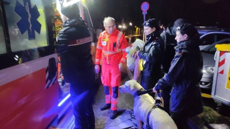 Ferrara adotta Faenza: Subito 10mila euro e una raccolta fondi, noi conosciamo certi drammi Ferrara adotta Faenza: Subito 10mila euro e una raccolta fondi, noi conosciamo certi drammi